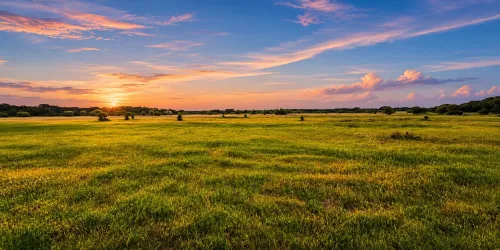 Farm For Sale in Hamilton County , TBD County Road 310, Jonesboro, Texas 76585, 2 Bedrooms, 1 Bathroom, Garage spaces, 1,225 Sqft, built in 2013, Price $850,000, mls#21188090, Real Estate Agent in Jonesboro, Homes For Sale in Hamilton county, Homes For Sale in Jonesboro, Realtor in Jonesboro Texas, Real Estate Brokerage Independent Realty Texas, Luminita Cordes Realtor