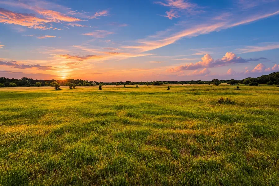 Farm For Sale in Hamilton County , TBD County Road 310, Jonesboro, Texas 76585, 2 Bedrooms, 1 Bathroom, Garage spaces, 1,225 Sqft, built in 2013, Price $850,000, mls#21188090, Real Estate Agent in Jonesboro, Homes For Sale in Hamilton county, Homes For Sale in Jonesboro, Realtor in Jonesboro Texas, Real Estate Brokerage Independent Realty Texas, Luminita Cordes Realtor