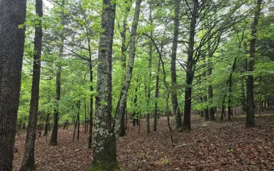 Improved Land For Sale in Henderson County , 7413 Quail Hollow Court, Larue, Texas 75770, 0, 0, Garage spaces, 0 Sqft, built in 0, Price $105,000, mls#21225109, Real Estate Agent in Larue, Homes For Sale in Henderson county, Homes For Sale in Larue, Realtor in Larue Texas, Real Estate Brokerage Independent Realty Texas, Luminita Cordes Realtor