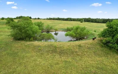 Unimproved Land For Sale in Grayson County , 00 Whitaker Road, Van Alstyne, Texas 75495, 0, 0, Garage spaces, 0 Sqft, built in 0, Price $935,000, mls#21225220, Real Estate Agent in Van Alstyne, Homes For Sale in Grayson county, Homes For Sale in Van Alstyne, Realtor in Van Alstyne Texas, Real Estate Brokerage Independent Realty Texas, Luminita Cordes Realtor