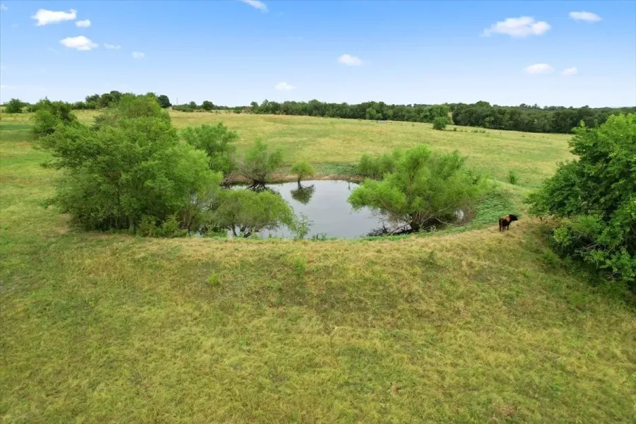 Unimproved Land For Sale in Grayson County , 00 Whitaker Road, Van Alstyne, Texas 75495, 0, 0, Garage spaces, 0 Sqft, built in 0, Price $935,000, mls#21225220, Real Estate Agent in Van Alstyne, Homes For Sale in Grayson county, Homes For Sale in Van Alstyne, Realtor in Van Alstyne Texas, Real Estate Brokerage Independent Realty Texas, Luminita Cordes Realtor
