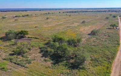 Ranch For Sale in Jack County , 16.96 Acres 199 Highway, Jacksboro, Texas 76458, 0, 0, Garage spaces, 0 Sqft, built in 0, Price $203,520, mls#21228384, Real Estate Agent in Jacksboro, Homes For Sale in Jack county, Homes For Sale in Jacksboro, Realtor in Jacksboro Texas, Real Estate Brokerage Independent Realty Texas, Luminita Cordes Realtor
