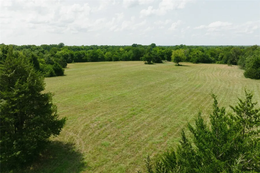 Unimproved Land For Sale in Fannin County , 0000 County Road 3010, Bonham, Texas 75418, 0, 0, Garage spaces, 0 Sqft, built in 0, Price $287,000, mls#21213467, Real Estate Agent in Bonham, Homes For Sale in Fannin county, Homes For Sale in Bonham, Realtor in Bonham Texas, Real Estate Brokerage Independent Realty Texas, Luminita Cordes Realtor