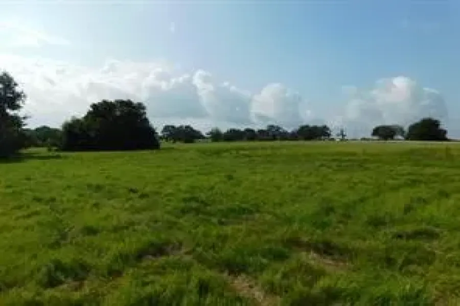 View of yard featuring a rural view