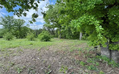 Unimproved Land For Sale in Somervell County , 1017 Cedar Hill Drive, Nemo, Texas 76070, 0, 0, Garage spaces, 0 Sqft, built in 0, Price $54,900, mls#21238704, Real Estate Agent in Nemo, Homes For Sale in Somervell county, Homes For Sale in Nemo, Realtor in Nemo Texas, Real Estate Brokerage Independent Realty Texas, Luminita Cordes Realtor