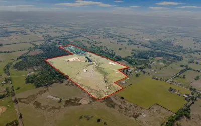Unimproved Land For Sale in Wood County , TBD County Road 4287, Winnsboro, Texas 75494, 0, 0, Garage spaces, 0 Sqft, built in 0, Price $879,000, mls#21238730, Real Estate Agent in Winnsboro, Homes For Sale in Wood county, Homes For Sale in Winnsboro, Realtor in Winnsboro Texas, Real Estate Brokerage Independent Realty Texas, Luminita Cordes Realtor