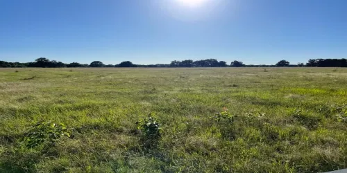Unimproved Land For Sale in Hopkins County , TBD COUNTY ROAD 3561, Sulphur Bluff, Texas 75481, 0, 0, Garage spaces, 0 Sqft, built in 0, Price $114,990, mls#21223470, Real Estate Agent in Sulphur Bluff, Homes For Sale in Hopkins county, Homes For Sale in Sulphur Bluff, Realtor in Sulphur Bluff Texas, Real Estate Brokerage Independent Realty Texas, Luminita Cordes Realtor