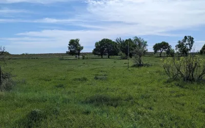 Unimproved Land For Sale in Montague County , Lot 30 High Plains Trail, Bellevue, Texas 76228, 0, 0, Garage spaces, 0 Sqft, built in 0, Price $134,900, mls#21245105, Real Estate Agent in Bellevue, Homes For Sale in Montague county, Homes For Sale in Bellevue, Realtor in Bellevue Texas, Real Estate Brokerage Independent Realty Texas, Luminita Cordes Realtor