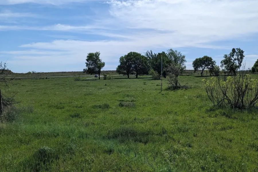 Unimproved Land For Sale in Montague County , Lot 30 High Plains Trail, Bellevue, Texas 76228, 0, 0, Garage spaces, 0 Sqft, built in 0, Price $134,900, mls#21245105, Real Estate Agent in Bellevue, Homes For Sale in Montague county, Homes For Sale in Bellevue, Realtor in Bellevue Texas, Real Estate Brokerage Independent Realty Texas, Luminita Cordes Realtor