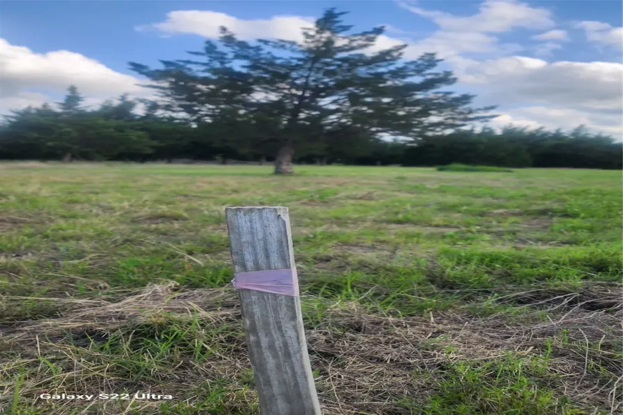 Unimproved Land For Sale in Ellis County , 147 W Woodell Drive, Glenn Heights, Texas 75154, 0, 0, Garage spaces, 0 Sqft, built in 0, Price $49,000, mls#21253083, Real Estate Agent in Glenn Heights, Homes For Sale in Ellis county, Homes For Sale in Glenn Heights, Realtor in Glenn Heights Texas, Real Estate Brokerage Independent Realty Texas, Luminita Cordes Realtor