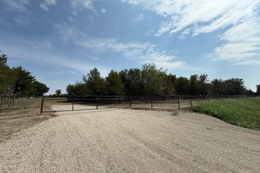 Improved Land For Sale in Hunt County , 1039 County Road 4109, Greenville, Texas 75401, 0, 0, Garage spaces, 0 Sqft, built in 0, Price $100,000, mls#21258145, Real Estate Agent in Greenville, Homes For Sale in Hunt county, Homes For Sale in Greenville, Realtor in Greenville Texas, Real Estate Brokerage Independent Realty Texas, Luminita Cordes Realtor
