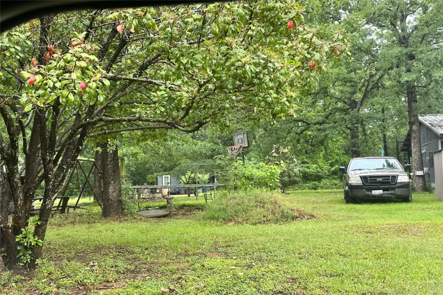 Minus the car & trampoline.
