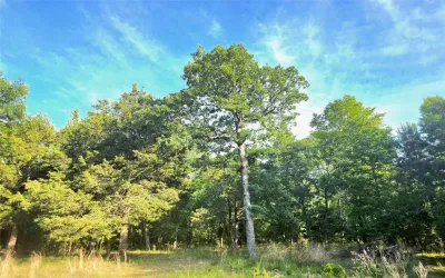 Improved Land For Sale in Henderson County , Lot 377 Timber Ridge, Larue, Texas 75770, 0, 0, Garage spaces, 0 Sqft, built in 0, Price $83,000, mls#21258688, Real Estate Agent in Larue, Homes For Sale in Henderson county, Homes For Sale in Larue, Realtor in Larue Texas, Real Estate Brokerage Independent Realty Texas, Luminita Cordes Realtor