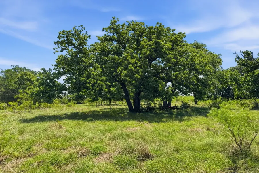 Unimproved Land For Sale in Hamilton County , Lot 13 Ph 1 Pr 4219, Evant, Texas 76525, 0, 0, Garage spaces, 0 Sqft, built in 0, Price $121,000, mls#21259121, Real Estate Agent in Evant, Homes For Sale in Hamilton county, Homes For Sale in Evant, Realtor in Evant Texas, Real Estate Brokerage Independent Realty Texas, Luminita Cordes Realtor