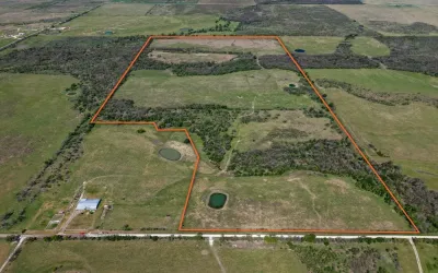 Unimproved Land For Sale in Limestone County , 303 LCR 626 Road, Groesbeck, Texas 76642, 0, 0, Garage spaces, 0 Sqft, built in 0, Price $1,089,900, mls#21232122, Real Estate Agent in Groesbeck, Homes For Sale in Limestone county, Homes For Sale in Groesbeck, Realtor in Groesbeck Texas, Real Estate Brokerage Independent Realty Texas, Luminita Cordes Realtor