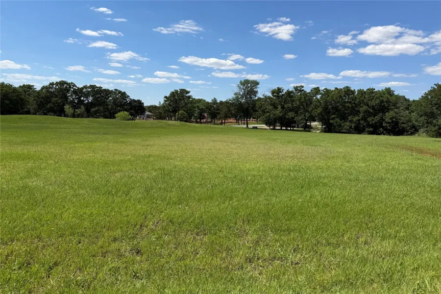 Unimproved Land For Sale in Grayson County , TBD Pasadera, Gordonville, Texas 76245, 0, 0, Garage spaces, 0 Sqft, built in 0, Price $35,000, mls#21259897, Real Estate Agent in Gordonville, Homes For Sale in Grayson county, Homes For Sale in Gordonville, Realtor in Gordonville Texas, Real Estate Brokerage Independent Realty Texas, Luminita Cordes Realtor