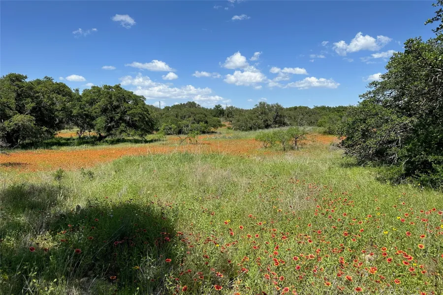 Expansive natural landscape featuring vibrant wildflowers and mature trees under a clear sky