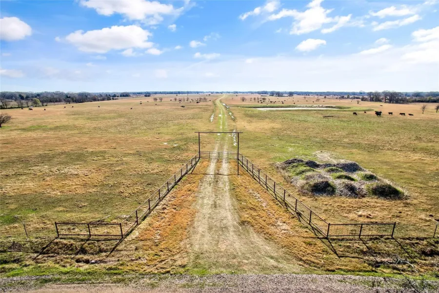 Ranch For Sale in Navarro County , 0000 SE CR 4210, Kerens, Texas 75144, 0, 0, Garage spaces, 0 Sqft, built in 0, Price $2,600,000, mls#21261129, Real Estate Agent in Kerens, Homes For Sale in Navarro county, Homes For Sale in Kerens, Realtor in Kerens Texas, Real Estate Brokerage Independent Realty Texas, Luminita Cordes Realtor