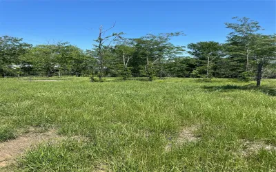 Unimproved Land For Sale in Fannin County , 896 Blue Bird, Dodd City, Texas 75438, 0, 0, Garage spaces, 0 Sqft, built in 0, Price $199,000, mls#21260971, Real Estate Agent in Dodd City, Homes For Sale in Fannin county, Homes For Sale in Dodd City, Realtor in Dodd City Texas, Real Estate Brokerage Independent Realty Texas, Luminita Cordes Realtor
