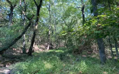 Unimproved Land For Sale in Henderson County , TR 4-A CR 41514, Athens, Texas 75751, 0, 0, Garage spaces, 0 Sqft, built in 0, Price $155,300, mls#21186571, Real Estate Agent in Athens, Homes For Sale in Henderson county, Homes For Sale in Athens, Realtor in Athens Texas, Real Estate Brokerage Independent Realty Texas, Luminita Cordes Realtor