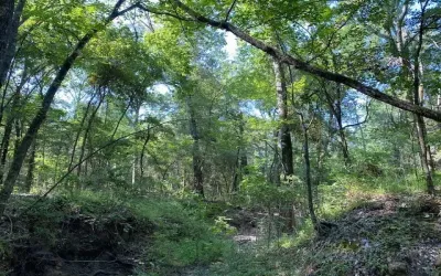 Unimproved Land For Sale in Henderson County , TR 4-B CR 41514, Athens, Texas 75751, 0, 0, Garage spaces, 0 Sqft, built in 0, Price $155,300, mls#21186577, Real Estate Agent in Athens, Homes For Sale in Henderson county, Homes For Sale in Athens, Realtor in Athens Texas, Real Estate Brokerage Independent Realty Texas, Luminita Cordes Realtor