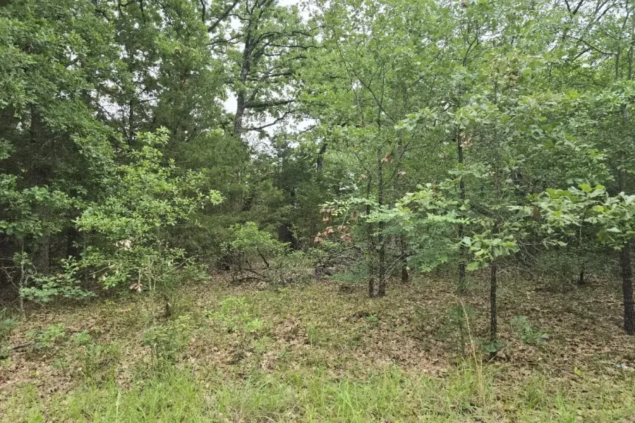 Unimproved Land For Sale in Henderson County , Lot 1007 Kickapoo Trail, Mabank, Texas 75156, 0, 0, Garage spaces, 0 Sqft, built in 0, Price $10,000, mls#21262884, Real Estate Agent in Mabank, Homes For Sale in Henderson county, Homes For Sale in Mabank, Realtor in Mabank Texas, Real Estate Brokerage Independent Realty Texas, Luminita Cordes Realtor