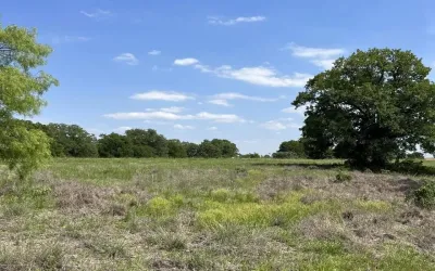Unimproved Land For Sale in Parker County , 311 Kilkenny, Poolville, Texas 76487, 0, 0, Garage spaces, 0 Sqft, built in 0, Price $120,000, mls#21246539, Real Estate Agent in Poolville, Homes For Sale in Parker county, Homes For Sale in Poolville, Realtor in Poolville Texas, Real Estate Brokerage Independent Realty Texas, Luminita Cordes Realtor