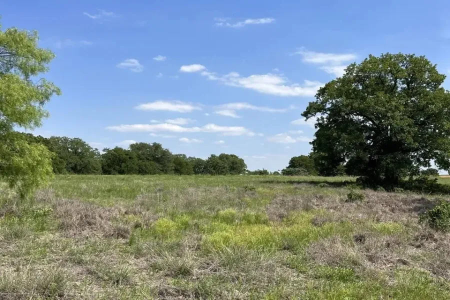 Unimproved Land For Sale in Parker County , 311 Kilkenny, Poolville, Texas 76487, 0, 0, Garage spaces, 0 Sqft, built in 0, Price $120,000, mls#21246539, Real Estate Agent in Poolville, Homes For Sale in Parker county, Homes For Sale in Poolville, Realtor in Poolville Texas, Real Estate Brokerage Independent Realty Texas, Luminita Cordes Realtor