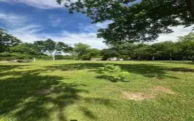 Improved Land For Sale in Cooke County , TBD Railroad Avenue, Gainesville, Texas 76240, 0, 0, Garage spaces, 0 Sqft, built in 0, Price $49,900, mls#21263789, Real Estate Agent in Gainesville, Homes For Sale in Cooke county, Homes For Sale in Gainesville, Realtor in Gainesville Texas, Real Estate Brokerage Independent Realty Texas, Luminita Cordes Realtor