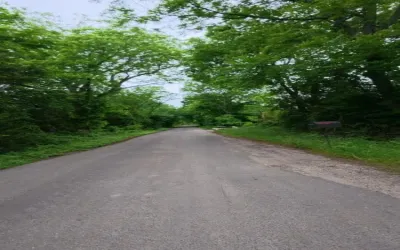Unimproved Land For Sale in Hunt County , 2266 County Road 2266, Quinlan, Texas 75474, 0, 0, Garage spaces, 0 Sqft, built in 0, Price $135,000, mls#21264666, Real Estate Agent in Quinlan, Homes For Sale in Hunt county, Homes For Sale in Quinlan, Realtor in Quinlan Texas, Real Estate Brokerage Independent Realty Texas, Luminita Cordes Realtor