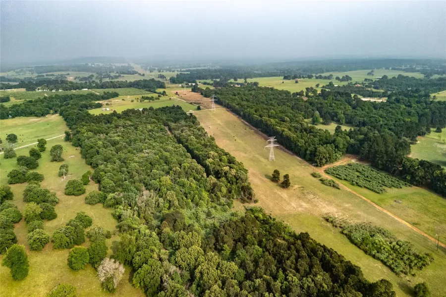 Expansive rural landscape featuring extensive tree coverage and open pastures