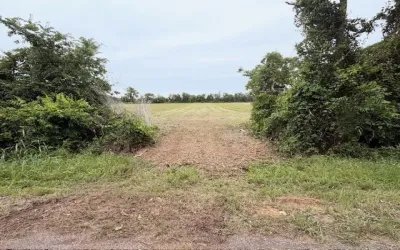 Improved Land For Sale in Mc Lennan County , TBD Prairie Chapel Road, Crawford, Texas 76638, 0, 0, Garage spaces, 0 Sqft, built in 0, Price $179,900, mls#21251323, Real Estate Agent in Crawford, Homes For Sale in Mc Lennan county, Homes For Sale in Crawford, Realtor in Crawford Texas, Real Estate Brokerage Independent Realty Texas, Luminita Cordes Realtor