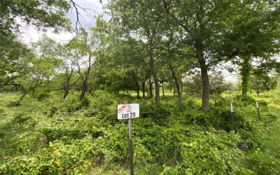 Unimproved Land For Sale in Comanche County , Lot 29 Twisted Creek Drive, Gustine, Texas 76455, 0, 0, Garage spaces, 0 Sqft, built in 0, Price $130,000, mls#21266167, Real Estate Agent in Gustine, Homes For Sale in Comanche county, Homes For Sale in Gustine, Realtor in Gustine Texas, Real Estate Brokerage Independent Realty Texas, Luminita Cordes Realtor