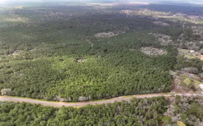 Unimproved Land For Sale in Houston County , 05 CR 2145, Latexo, Texas 75835, 0, 0, Garage spaces, 0 Sqft, built in 0, Price $296,000, mls#20618992, Real Estate Agent in Latexo, Homes For Sale in Houston county, Homes For Sale in Latexo, Realtor in Latexo Texas, Real Estate Brokerage Independent Realty Texas, Luminita Cordes Realtor