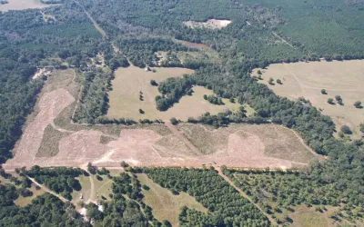 Unimproved Land For Sale in Rusk County , TBD-C County Road 4172D, Laneville, Texas 75667, 0, 0, Garage spaces, 0 Sqft, built in 0, Price $69,850, mls#21095891, Real Estate Agent in Laneville, Homes For Sale in Rusk county, Homes For Sale in Laneville, Realtor in Laneville Texas, Real Estate Brokerage Independent Realty Texas, Luminita Cordes Realtor