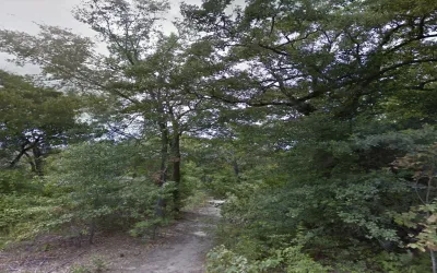Unimproved Land For Sale in Henderson County , 191 Coahoma Street, Mabank, Texas 75156, 0, 0, Garage spaces, 0 Sqft, built in 0, Price $9,900, mls#21266560, Real Estate Agent in Mabank, Homes For Sale in Henderson county, Homes For Sale in Mabank, Realtor in Mabank Texas, Real Estate Brokerage Independent Realty Texas, Luminita Cordes Realtor