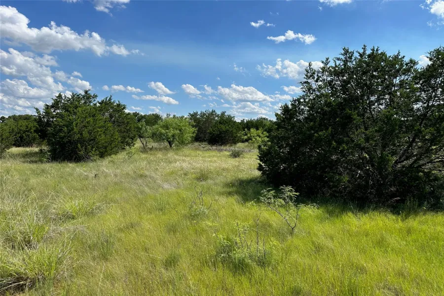 Expansive natural landscape featuring varied green foliage