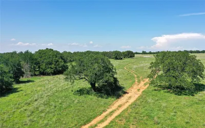 Ranch For Sale in Jack County , 136 Acres FM 2127, Bowie, Texas 76230, 0, 0, Garage spaces, 0 Sqft, built in 0, Price $1,360,000, mls#21264944, Real Estate Agent in Bowie, Homes For Sale in Jack county, Homes For Sale in Bowie, Realtor in Bowie Texas, Real Estate Brokerage Independent Realty Texas, Luminita Cordes Realtor