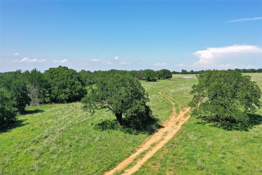 Ranch For Sale in Jack County , 136 Acres FM 2127, Bowie, Texas 76230, 0, 0, Garage spaces, 0 Sqft, built in 0, Price $1,360,000, mls#21264944, Real Estate Agent in Bowie, Homes For Sale in Jack county, Homes For Sale in Bowie, Realtor in Bowie Texas, Real Estate Brokerage Independent Realty Texas, Luminita Cordes Realtor
