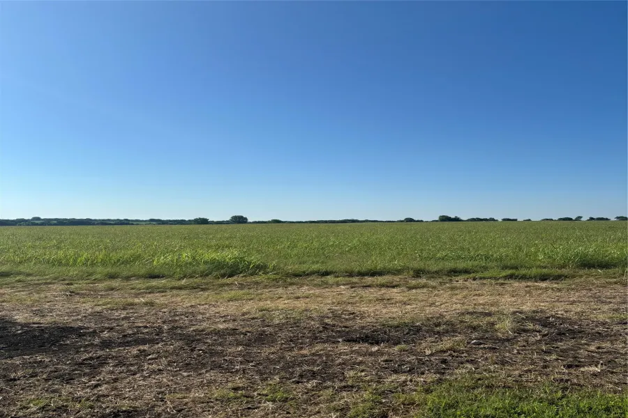 Unimproved Land For Sale in Ellis County , TBD Boz Road 3, Waxahachie, Texas 75167, 0, 0, Garage spaces, 0 Sqft, built in 0, Price $179,900, mls#21261519, Real Estate Agent in Waxahachie, Homes For Sale in Ellis county, Homes For Sale in Waxahachie, Realtor in Waxahachie Texas, Real Estate Brokerage Independent Realty Texas, Luminita Cordes Realtor