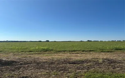 Unimproved Land For Sale in Ellis County , TBD Boz Road 6, Waxahachie, Texas 75167, 0, 0, Garage spaces, 0 Sqft, built in 0, Price $179,900, mls#21268167, Real Estate Agent in Waxahachie, Homes For Sale in Ellis county, Homes For Sale in Waxahachie, Realtor in Waxahachie Texas, Real Estate Brokerage Independent Realty Texas, Luminita Cordes Realtor
