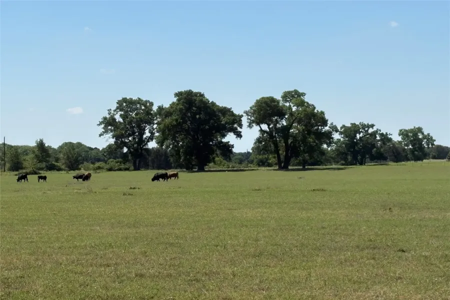 Ranch For Sale in Comanche County , 2966 Highway 679, Gorman, Texas 76454, 0, 0, Garage spaces, 0 Sqft, built in 0, Price $659,556, mls#21267989, Real Estate Agent in Gorman, Homes For Sale in Comanche county, Homes For Sale in Gorman, Realtor in Gorman Texas, Real Estate Brokerage Independent Realty Texas, Luminita Cordes Realtor