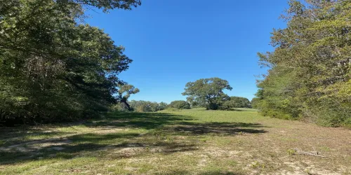 Ranch For Sale in Leon County , TBD 006 County Road 242, Oakwood, Texas 75855, 0, 0, Garage spaces, 0 Sqft, built in 0, Price $139,999, mls#21269455, Real Estate Agent in Oakwood, Homes For Sale in Leon county, Homes For Sale in Oakwood, Realtor in Oakwood Texas, Real Estate Brokerage Independent Realty Texas, Luminita Cordes Realtor