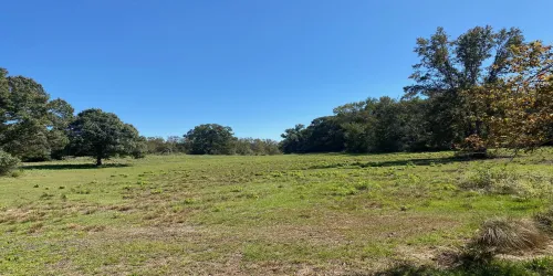 Ranch For Sale in Leon County , TBD 007 County Road 242, Oakwood, Texas 75855, 0, 0, Garage spaces, 0 Sqft, built in 0, Price $139,999, mls#21269495, Real Estate Agent in Oakwood, Homes For Sale in Leon county, Homes For Sale in Oakwood, Realtor in Oakwood Texas, Real Estate Brokerage Independent Realty Texas, Luminita Cordes Realtor