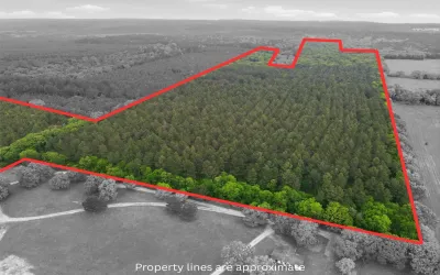 Unimproved Land For Sale in Wood County , 000 County road 3824, Hawkins, Texas 75765, 0, 0, Garage spaces, 0 Sqft, built in 0, Price $694,860, mls#21270361, Real Estate Agent in Hawkins, Homes For Sale in Wood county, Homes For Sale in Hawkins, Realtor in Hawkins Texas, Real Estate Brokerage Independent Realty Texas, Luminita Cordes Realtor