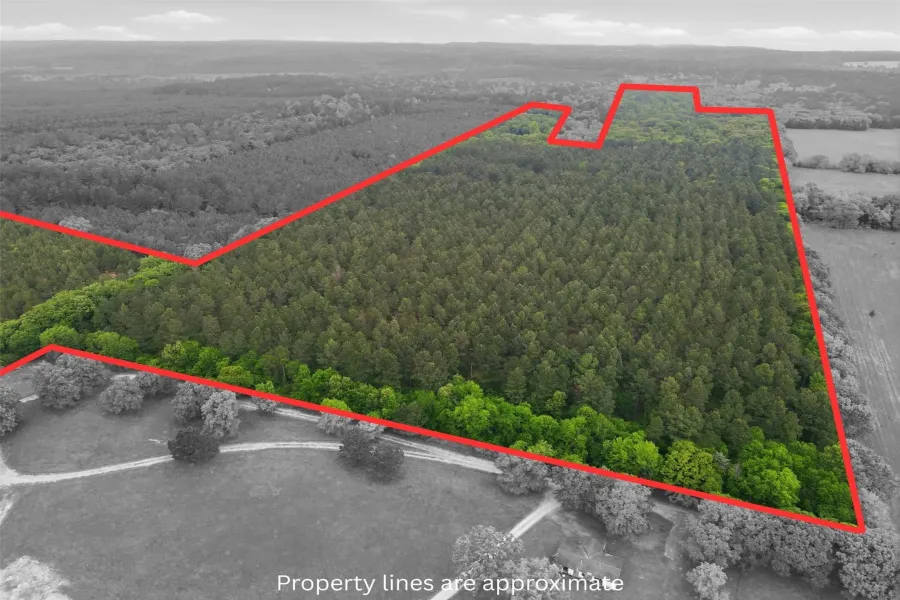 Unimproved Land For Sale in Wood County , 000 County road 3824, Hawkins, Texas 75765, 0, 0, Garage spaces, 0 Sqft, built in 0, Price $694,860, mls#21270361, Real Estate Agent in Hawkins, Homes For Sale in Wood county, Homes For Sale in Hawkins, Realtor in Hawkins Texas, Real Estate Brokerage Independent Realty Texas, Luminita Cordes Realtor