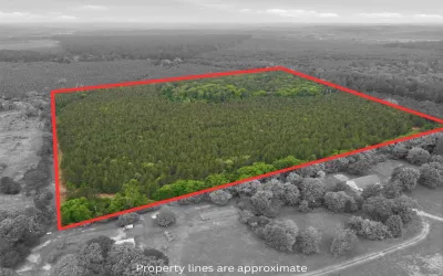 Unimproved Land For Sale in Wood County , 000 Private Rd 7832, Hawkins, Texas 75765, 0, 0, Garage spaces, 0 Sqft, built in 0, Price $345,990, mls#21270337, Real Estate Agent in Hawkins, Homes For Sale in Wood county, Homes For Sale in Hawkins, Realtor in Hawkins Texas, Real Estate Brokerage Independent Realty Texas, Luminita Cordes Realtor