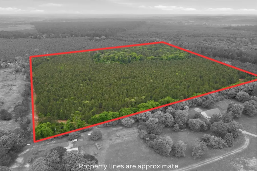 Unimproved Land For Sale in Wood County , 000 Private Rd 7832, Hawkins, Texas 75765, 0, 0, Garage spaces, 0 Sqft, built in 0, Price $345,990, mls#21270337, Real Estate Agent in Hawkins, Homes For Sale in Wood county, Homes For Sale in Hawkins, Realtor in Hawkins Texas, Real Estate Brokerage Independent Realty Texas, Luminita Cordes Realtor