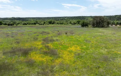 Unimproved Land For Sale in Coryell County , 110 Yellowstone Drive, Oglesby, Texas 76561, 0, 0, Garage spaces, 0 Sqft, built in 0, Price $140,000, mls#21270798, Real Estate Agent in Oglesby, Homes For Sale in Coryell county, Homes For Sale in Oglesby, Realtor in Oglesby Texas, Real Estate Brokerage Independent Realty Texas, Luminita Cordes Realtor