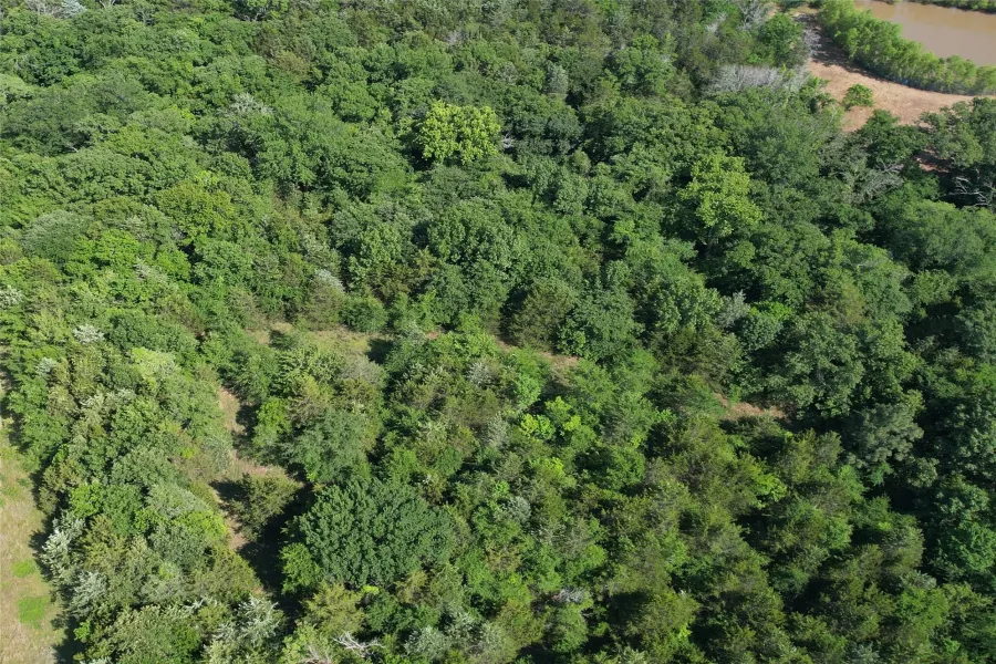 Unimproved Land For Sale in Grayson County , TBD Texoma Parkway, Denison, Texas 75020, 0, 0, Garage spaces, 0 Sqft, built in 0, Price $300,000, mls#21270607, Real Estate Agent in Denison, Homes For Sale in Grayson county, Homes For Sale in Denison, Realtor in Denison Texas, Real Estate Brokerage Independent Realty Texas, Luminita Cordes Realtor